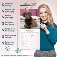 Labrador Retriever Bruin Kalender 2026 - thumbnail