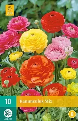 Ranunculus mix bloembollen 10 bollen Ranonkel JUB - Jub