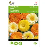 Calendula, Goudbloem Pacific Beauty gemengd - thumbnail