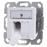Telegärtner 100022942 Netwerkdoos Inbouw (in muur) Inzet met centraalstuk CAT 6 2 poorten Alpine-wit - thumbnail