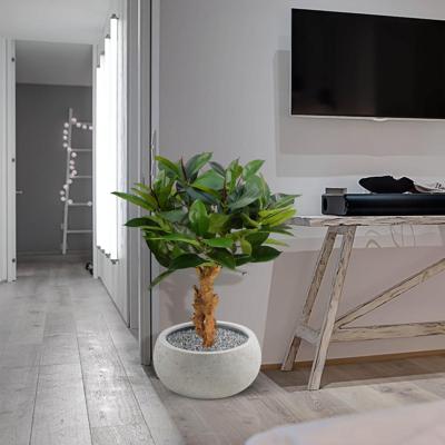 Philodendron op voet kunstplant 80cm Philodendron op voet kunstplant 80cm