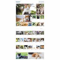 365 Dagen Katten Kalender 2026 - thumbnail