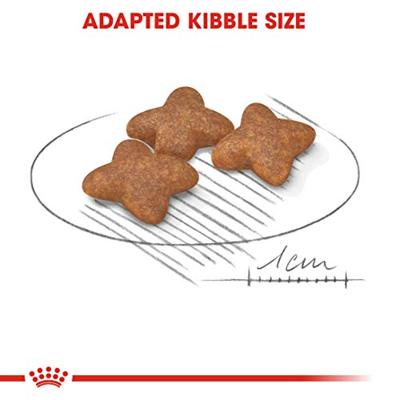 ROYAL CANIN MINI ADULT 2 KG - thumbnail