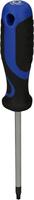 Brilliant Tools BT034908 Torx-schroevendraaier Grootte T 25 Koplengte: 100 mm 1 stuk(s) - thumbnail