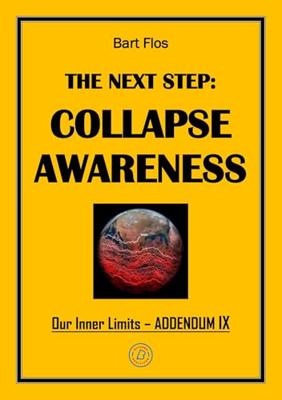 The Next Step: Collapse Awareness - Bart Flos - ebook