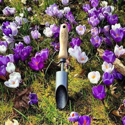 De Wit Bollenpoter krokus essen handvat 140mm dewit