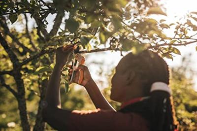 Fiskars Metalen snoeischaar bypass Fiskars Metalen snoeischaar bypass