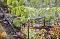 Gardena Reguleer- en afsluitventiel (3/16') - thumbnail