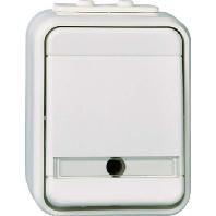 ELSO universele schakelaar 441629 10A AquaTop licht/basisgrijs 1 stuk(s) - thumbnail