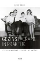 Gezinstherapie in praktijk (Paperback) - thumbnail