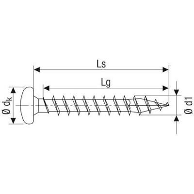 Spax bolkop t10 3,0x20(200)