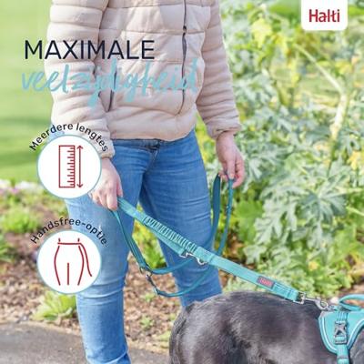 Hondenriem Company of Animals Groen S