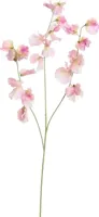 Pure Royal kunsttak lathyrus 115cm lila - thumbnail