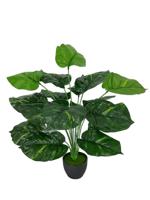 Alocasia polyester l32b32h40 cm grn kunstbloem zijde nepbloem Decoris - Decoris - thumbnail