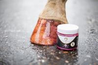 Excellent Horse Hi Gloss Glitter Hoof Polish Pink 150 ml - thumbnail