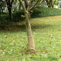 Jute rol 200 g/m 0,25x5 m 100% jute - thumbnail