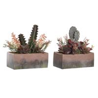 Decoratieve plant DKD Home Decor 19 x 9 x 22 cm Roze Oranje Cactus EVA-rubber Polypropyleen (2 Stuks) - thumbnail
