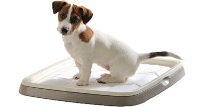 Savic puppy trainer starterkit medium Savic Gebr. de Boon - Gebr de boon