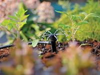 360 graden verstelbare minisproeier grondpen Hozelock - Hozelock - thumbnail