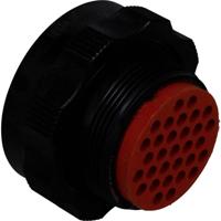 TE Connectivity WTC06B-24-31PN Ronde connector 1 stuk(s) - thumbnail