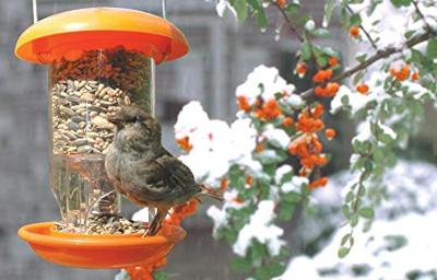 Vogel Voedersilo Kunststof Groen Vogel Voedersilo Kunststof Groen