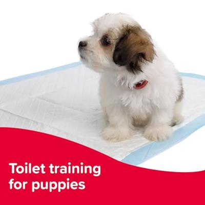 Deodorant Spray Inodorina White Musk 300 ml