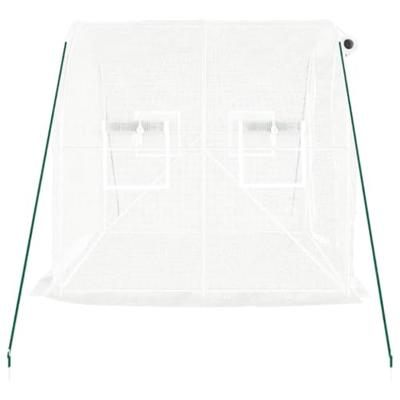 VidaXL Tuinkas met stalen frame 4 m² 2x2x2 m