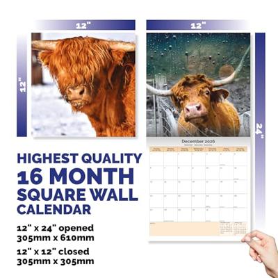 Schotse Hooglanders Kalender 2026 Schotse Hooglanders Kalender 2026