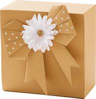 Kraftpapier Folia 50x70cm 120gr 25 vel | 25 stuks - thumbnail