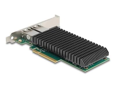 Delock 88522 netwerkkaart Intern Ethernet 10000 Mbit/s