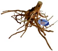 Spiderwood Large aquaria SuperFish - Superfish - thumbnail