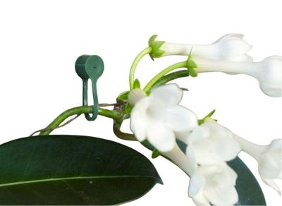 Plantenklemmen groen 15 stuks
