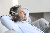 Denon AH-D5200 Bedraad Hoofdtelefoons Hoofdband Bruin, Zilver - thumbnail