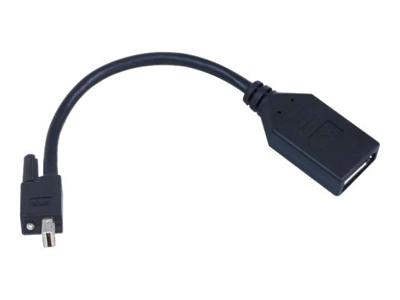 TripleHead2go upgrade - DisplayPort-adapter - Mini DisplayPort (M) naar DisplayPort (V) - voor Matrox M9138, M9148, M9188; Graphics eXpansion Module DualHead2Go, TripleHead2Go TripleHead2go upgrade - DisplayPort-adapter - Mini DisplayPort (M) naar DisplayPort (V) - voor Matrox M9138, M9148, M9188; Graphics eXpansion Module DualHead2Go, TripleHead2Go
