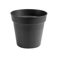 Elho Green Basics Kweekpot Zwart Ø13cm - thumbnail