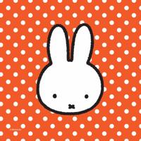 Servetten Nijntje - thumbnail