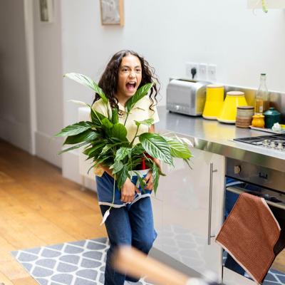 Spectron Onderbroeken lol - gezelschapsspel Spectron Onderbroeken lol - gezelschapsspel