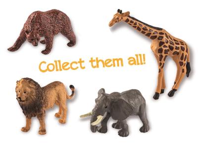 CLEMENTONI - Mini-terrarium - Beer