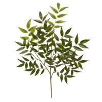 Kunst Ruscus Bladtak deluxe - thumbnail