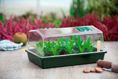 Nature Mini-kweekbak kweekkas