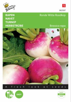 Raap Ronde Witte Roodkop, de Nancy