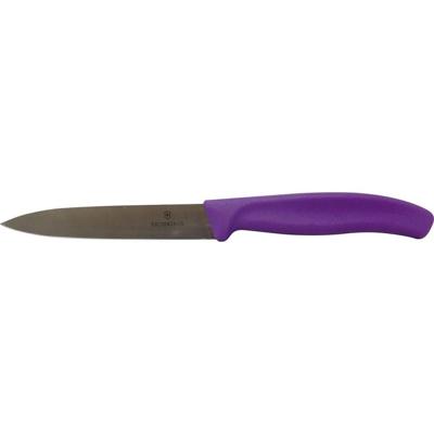 Victorinox 6.7705.C1 Groentemes Violet