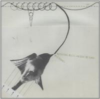 Adventure, Bless, And Don't Be Sorry - CD (0802685853526) - thumbnail