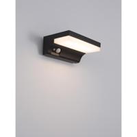 Lyora Solar wandlampDyn met sensor - 9190101 - thumbnail