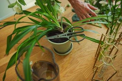 Fiskars plant care plantenschaar met houder - 1075315