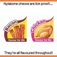 Kauwspeelgoed voor honden Nylabone Value Pack Bacon Maat S Kip Thermoplast (3 pcs) - thumbnail