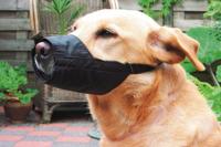 BZ VEILIGHEIDSMUILBAND L-LARGE 19.5 - thumbnail