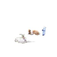 TRIXIE NATURA KNAAGDIERREN GEGALVANISEERD METAAL DIA 126 CM 63X58 CM - thumbnail