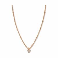 Ketting Dames Rosefield JTNTRG-J443 40-45 cm - thumbnail