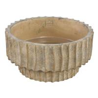 PTMD schaal mitty l bruin 30 cm | 2 stuks - thumbnail